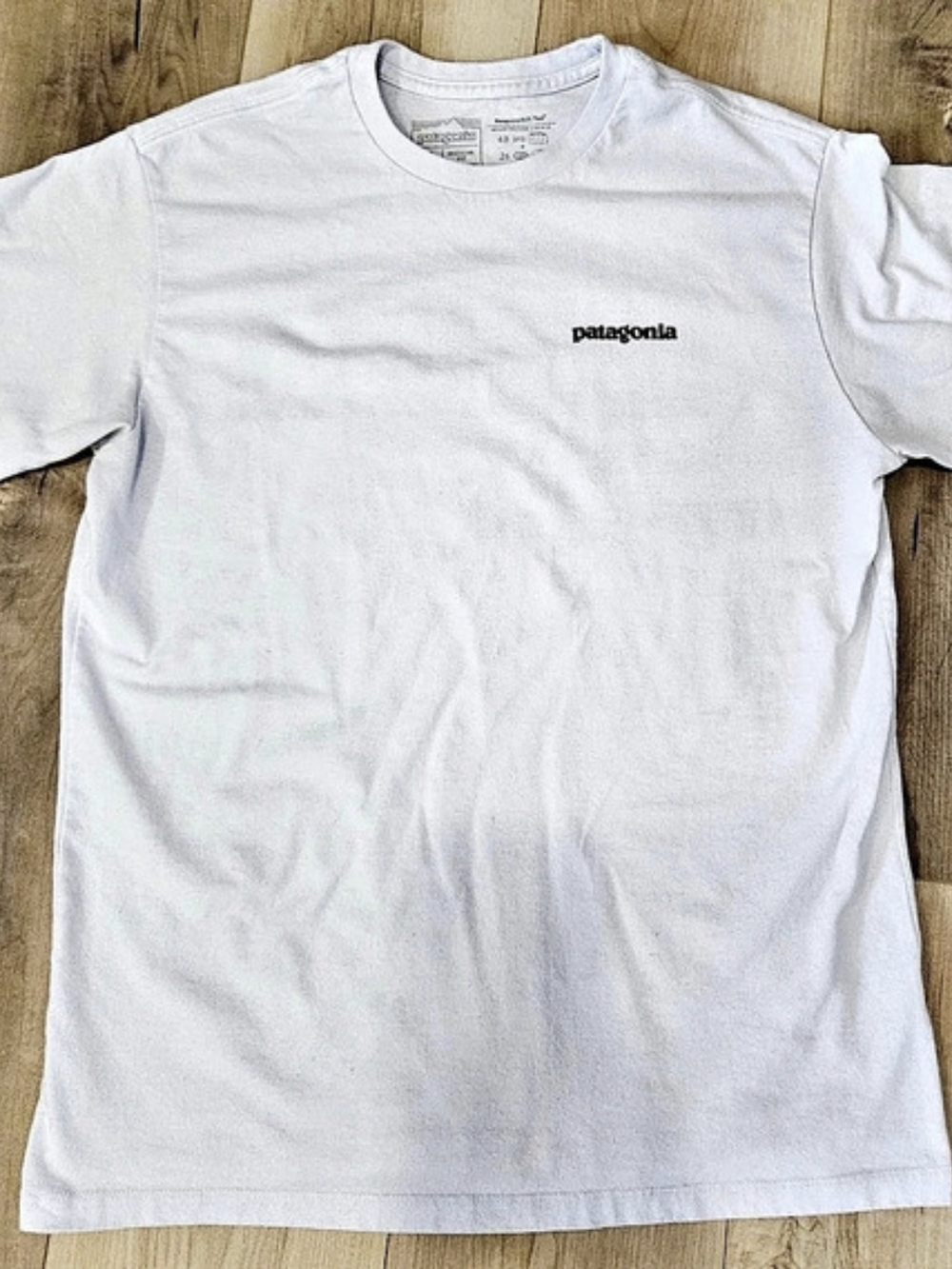 Patagonia Logo Graphic Tee Size Small